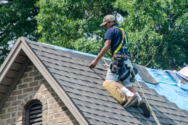 Best Shingle Roofing Installation  in Rutherfordton, NC